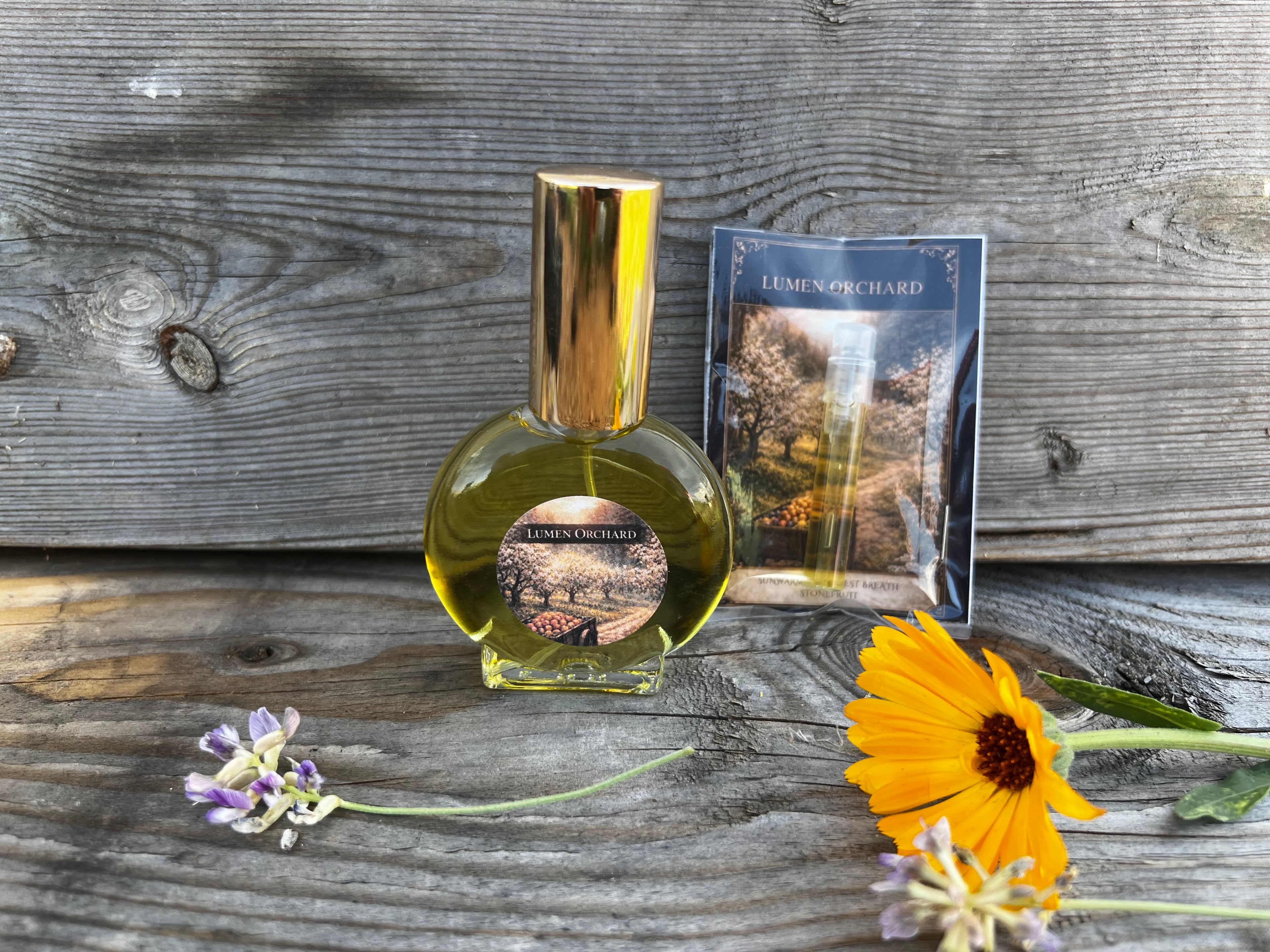 Wild Child Discovery Perfume Sample Set | 6 Botanical Fragrance Samples