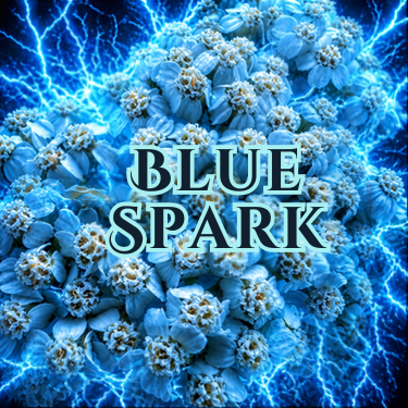 Blue Spark — Attar
