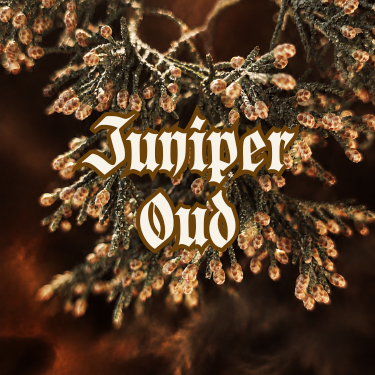 Juniper Oud — Perfume