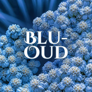 Blu-Oud — Attar